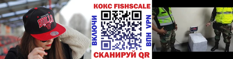 Кокаин FishScale  Новомичуринск 